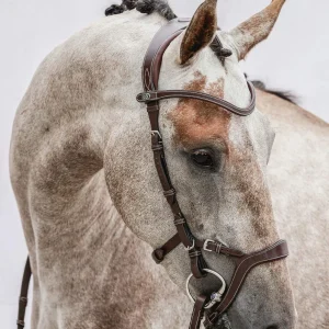 PS of Sweden bridle Nirak