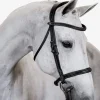 PS of Sweden Bridle Ocala