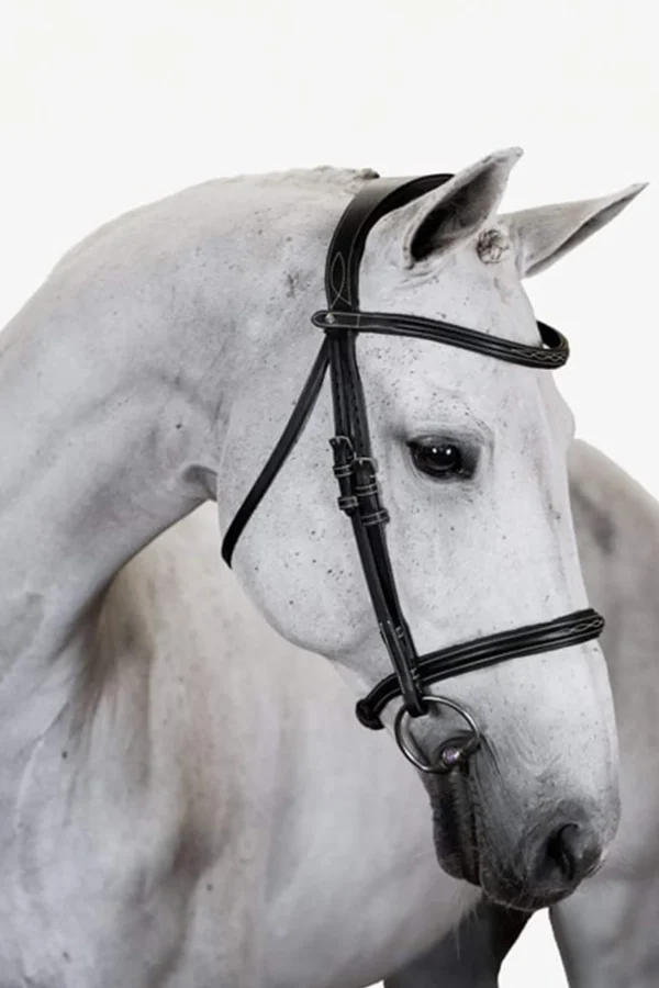 PS of Sweden Bridle Ocala