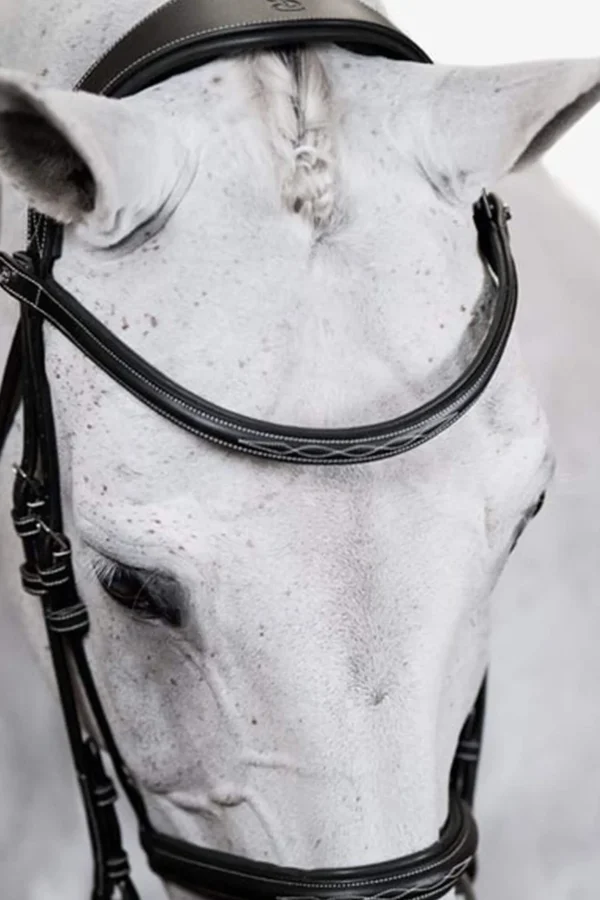 PS of Sweden Bridle Ocala