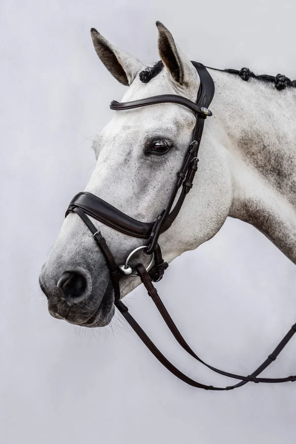 PS of Sweden bridle Paladin