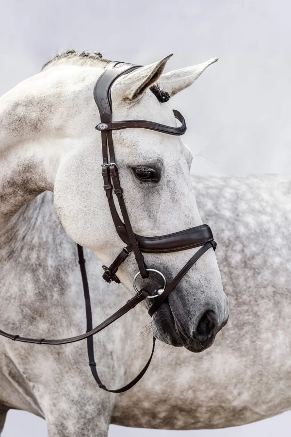 PS of Sweden bridle Paladin