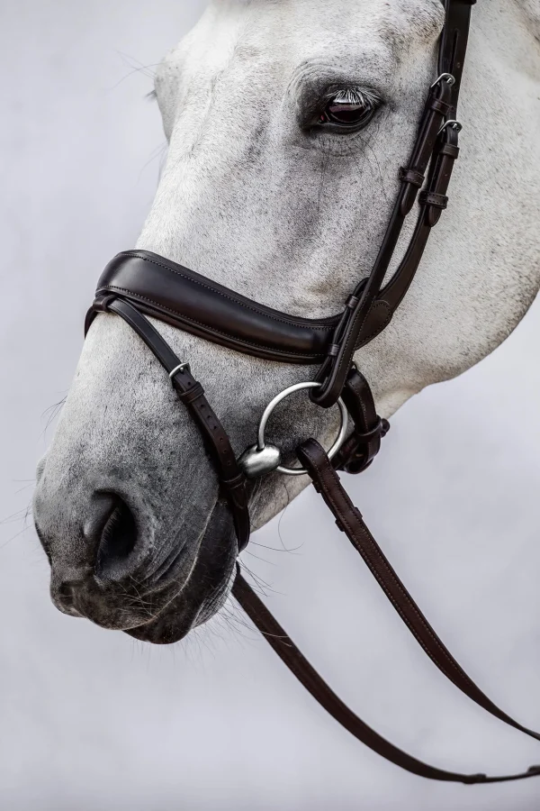 PS of Sweden bridle Paladin