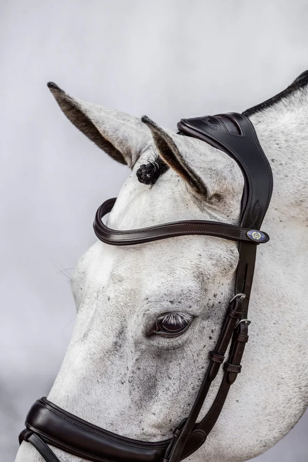 PS of Sweden bridle Paladin