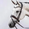 PS of Sweden Flying Change Bridle