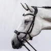 PS of Sweden High Jump Bridle