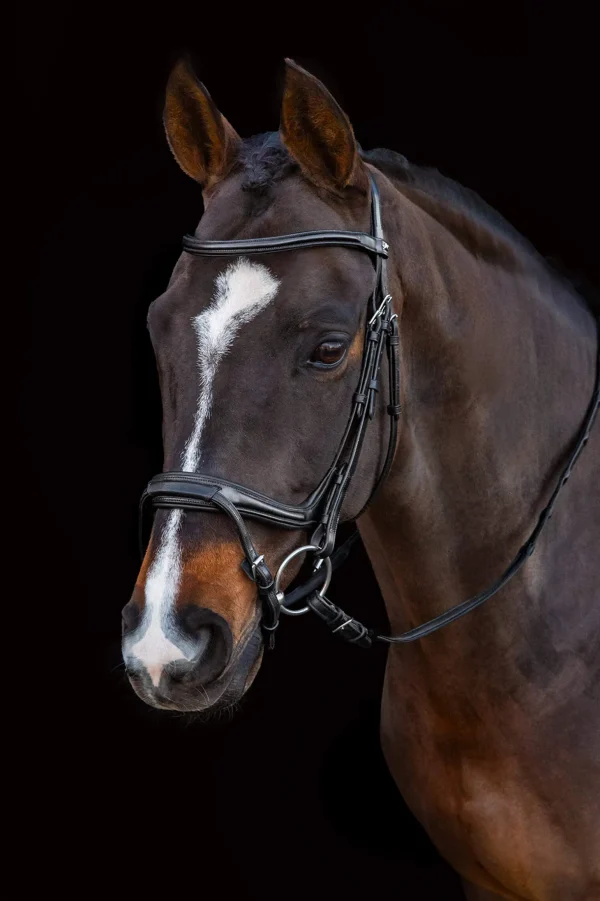 Schockemöhle Sports Ancona Select Bridle