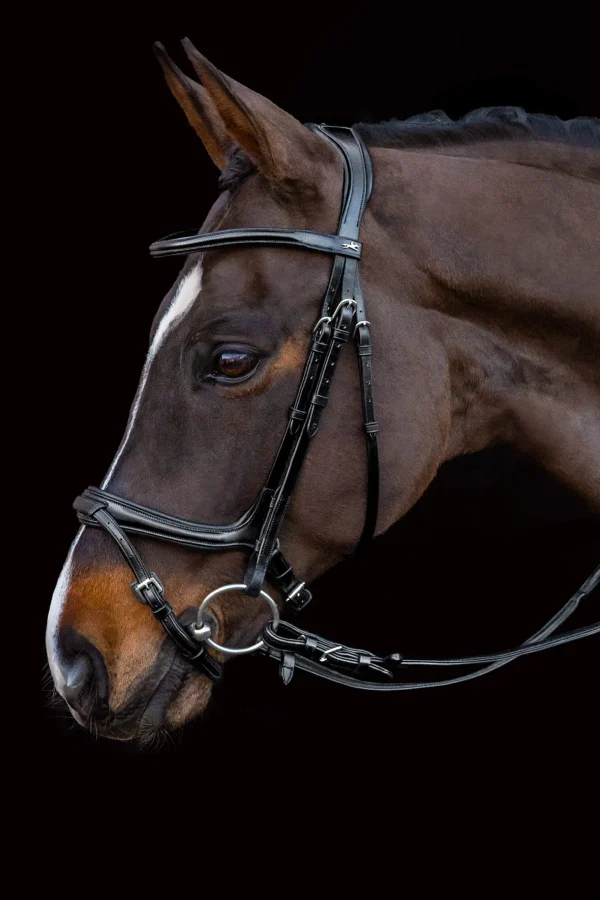 Schockemöhle Sports Ancona Select Bridle