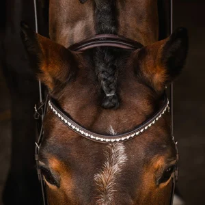 Schockemöhle Sports Brantford Bridle