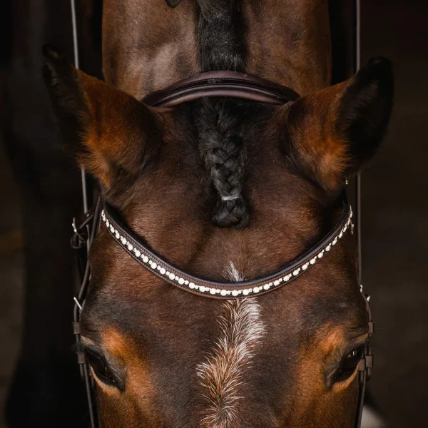 Schockemöhle Sports Brantford Bridle