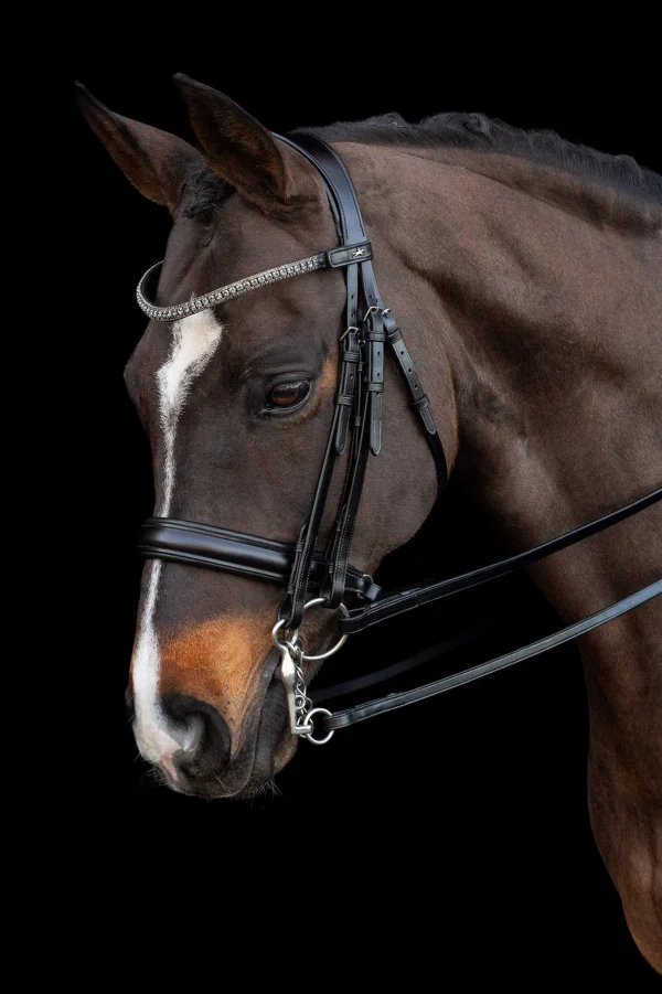 Schockemöhle Sports Brindisi Double Bridle