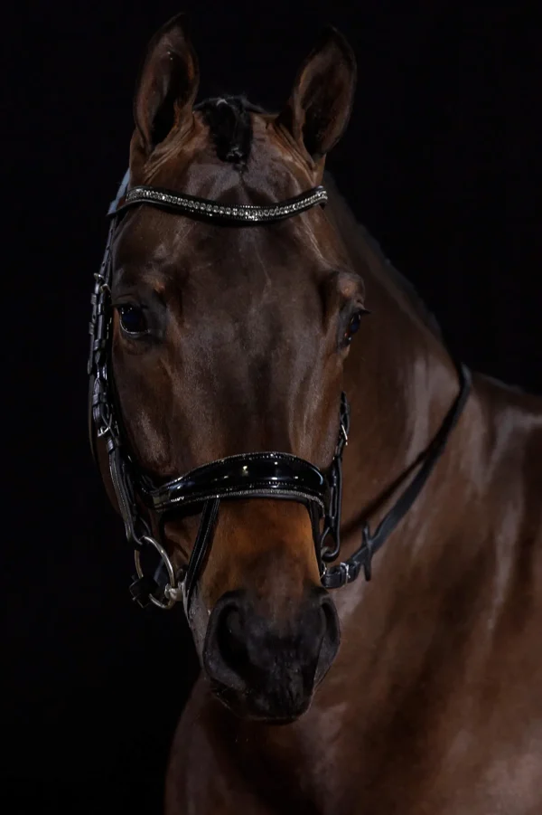 Schockemöhle Sports Equitus Beta Glam Bridle