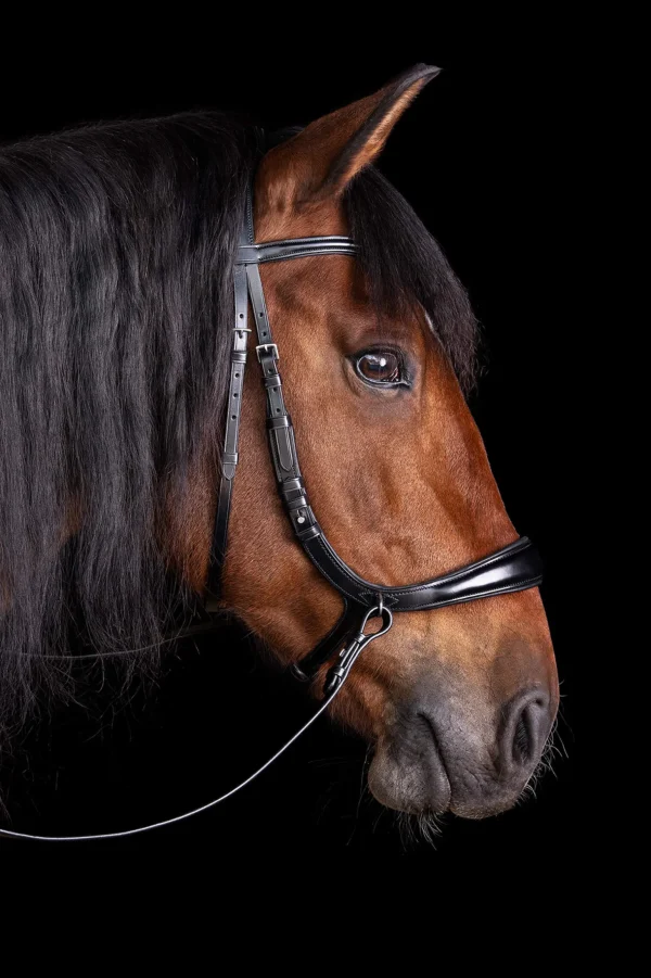 Schockemöhle Sports Equitus Theta 3in1 Bridle