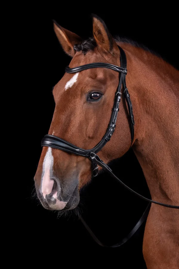 Schockemöhle Sports Equitus Theta 3in1 Bridle