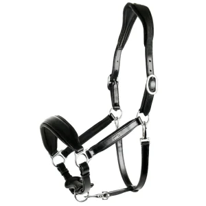 Schockemöhle Sports Fremont Halter