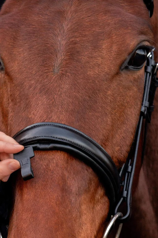 Schockemöhle Sports Malaga Bridle