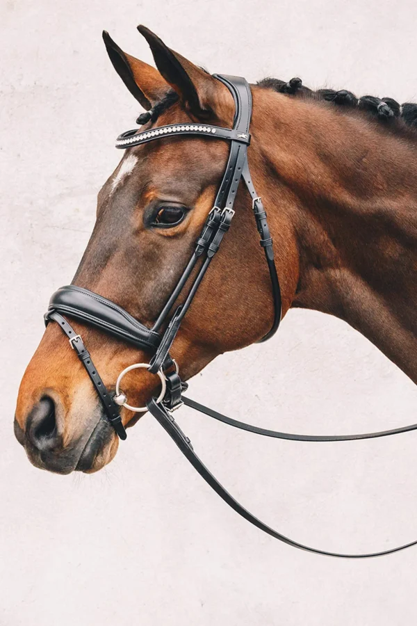 Schockemöhle Sports Malibu Anatomical Dressage Bridle