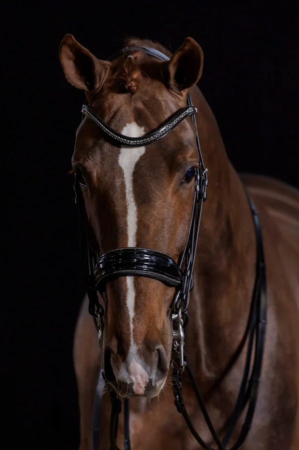 Schockemöhle Sports Milan Glam Double Bridle