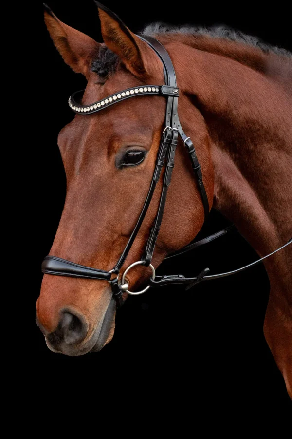 Schockemöhle Sports Pisa Bridle