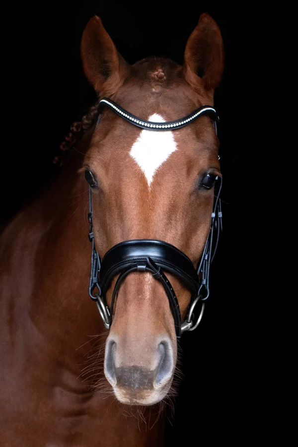 Schockemöhle Sports Stanford Anatomical Bridle