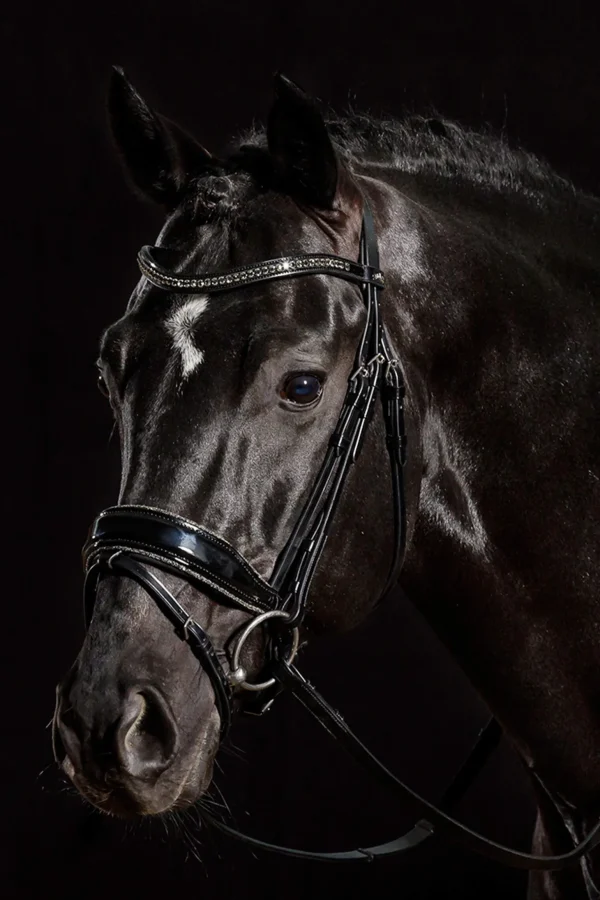 Schockemöhle Sports Stanford Glam Bridle