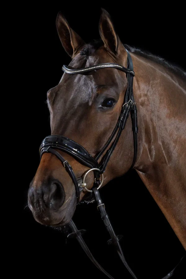 Schockemöhle Sports Stanford Bridle