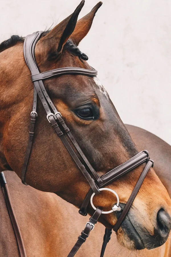 Schockemöhle Sports Tokyo Select Bridle