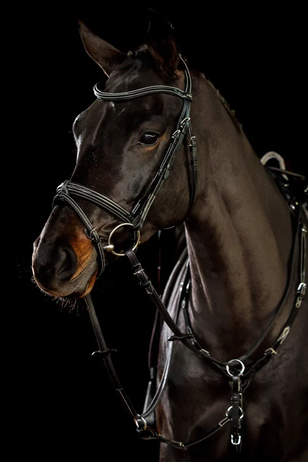 Schockemöhle Sports Tokyo F Select Bridle