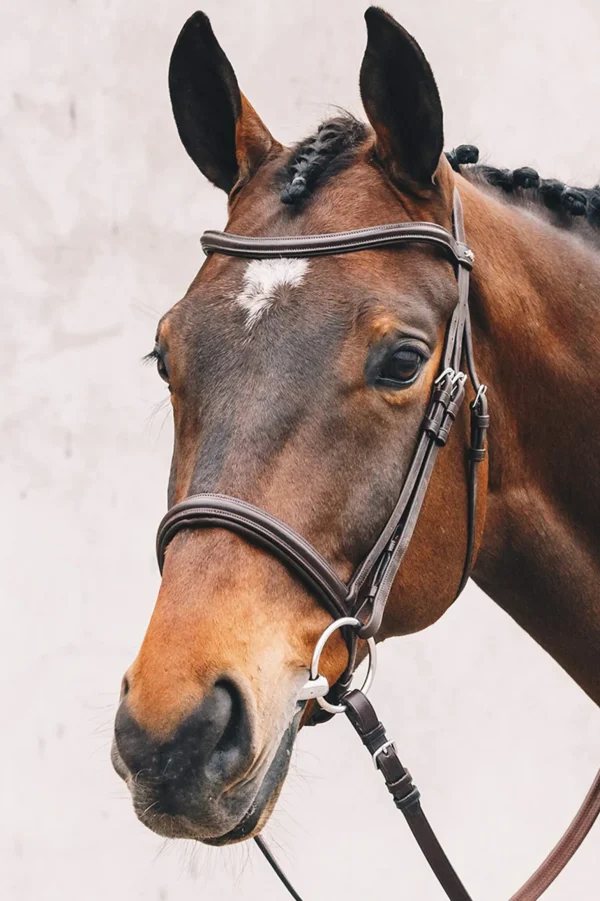 Schockemöhle Sports Tokyo Select Bridle