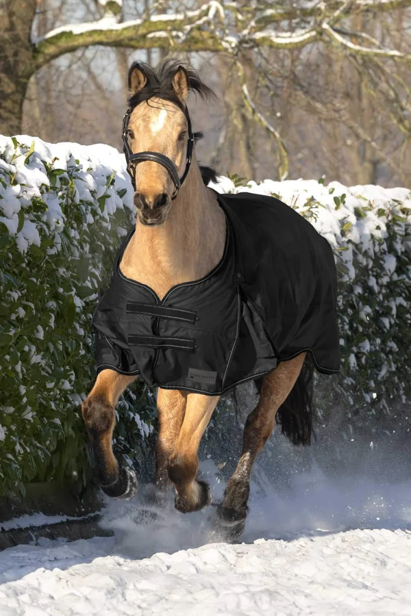 Waldhausen Arctic Turnout Rug, 200g