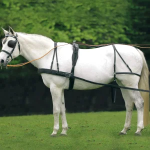 Waldhausen Economic Single Harness Cob and Full