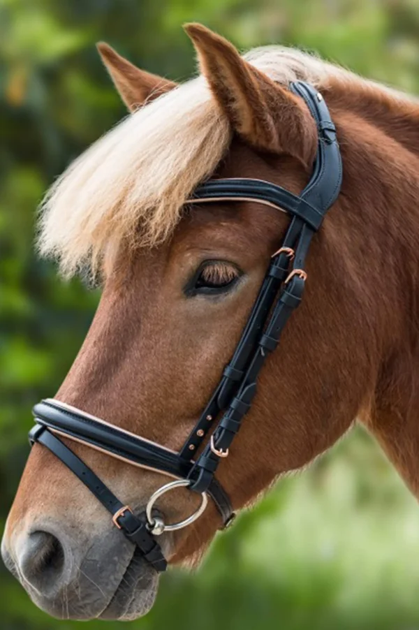 Waldhausen Rose Icelandic Bridle