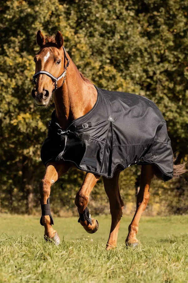 Waldhausen Scandic Turnout Rug, 200 g