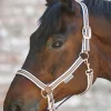 Waldhausen Shine Halter