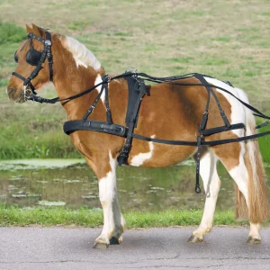 Waldhausen Single Harness Pony and Shetty