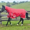 Weatherbeeta Comfitec Classic Combo Neck Turnout Rug, 100g