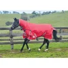 Weatherbeeta Comfitec Classic Turnout Rug With Fixed Neck, 220g