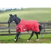 Weatherbeeta Comfitec Classic Turnout Rug, 220g