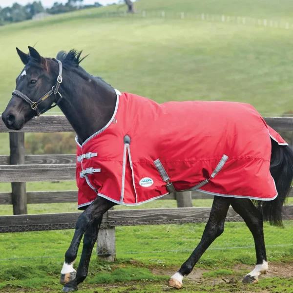 Weatherbeeta Comfitec Classic Turnout Rug, 100g