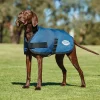 Weatherbeeta Comfitec Classic Dogcoat (45-80cm)