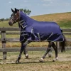 Weatherbeeta Comfitec Essential Turnout Rug with Fixed Neck, 0g