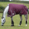 Weatherbeeta Comfitec Plus Dynamic II Turnout Rug, 0g