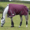 Weatherbeeta Comfitec Plus Dynamic II Turnout Rug, 100g