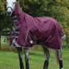 Weatherbeeta Comfitec Plus Dynamic II Turnout Rug With Fixed Neck, 100g