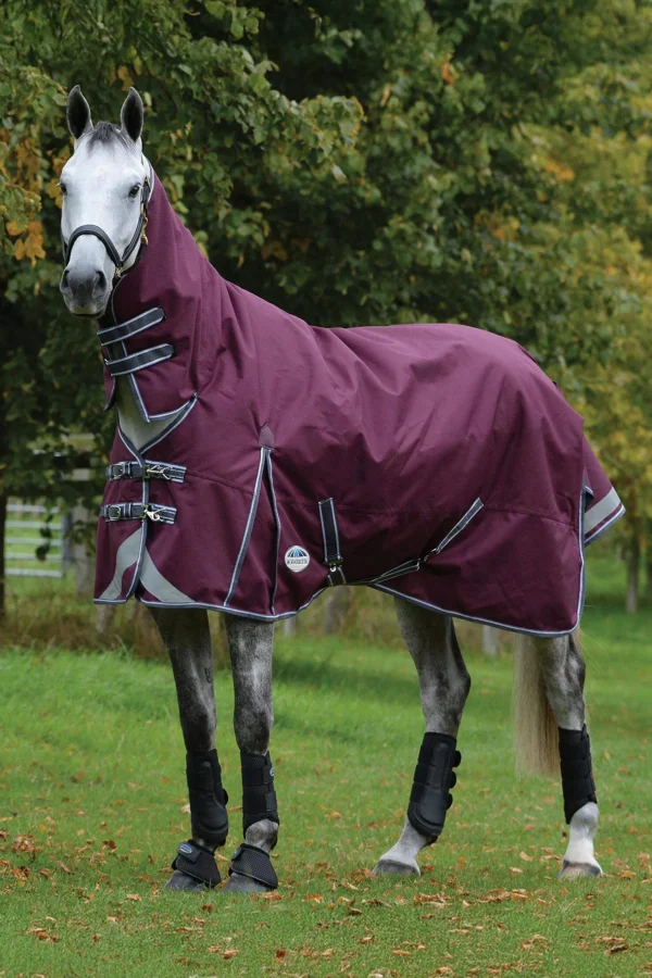 Weatherbeeta Comfitec Plus Dynamic II Turnout Rug With Fixed Neck, 100g