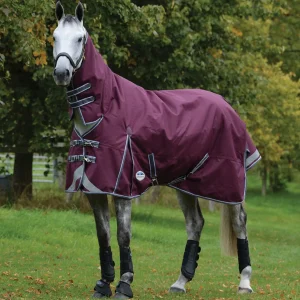 Weatherbeeta Comfitec Plus Dynamic II Combo Neck Turnout Rug, 0g