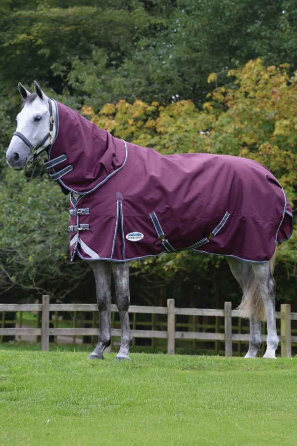 Weatherbeeta Comfitec Plus Dynamic II Turnout Rug With Detachable Neck, 220g