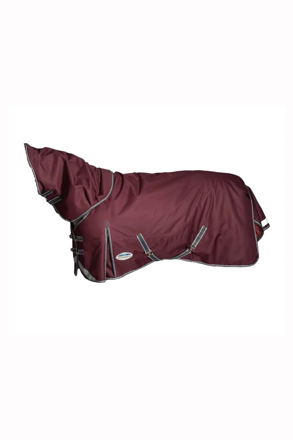 Weatherbeeta Comfitec Plus Dynamic II Detach-a-Neck Heavy Turnout Rug, 360g