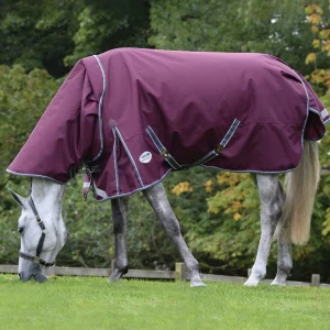 Weatherbeeta Comfitec Plus Dynamic II Detach-a-Neck Turnout Rug, 0g