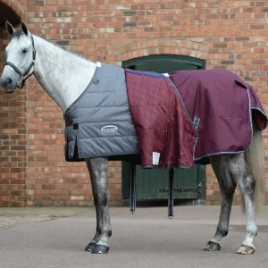 Weatherbeeta Comfitec Plus Dynamic II Combo Neck Turnout Rug, 220g